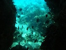 Photo 4 Bahamas 2012